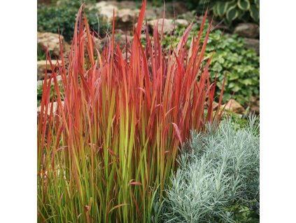 d6c5b8d1 fbe4 42ec af31 07745eac1682