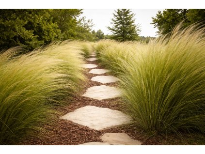 366bd801 16df 4df3 b907 fb06c42d02ad