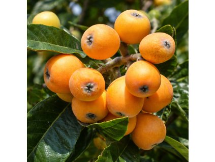 3f61224a 7b56 4c4a 8f1d efa088d5e15d