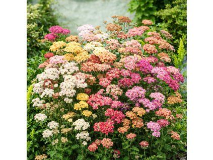 1a3e4fe2 2681 4bb5 8734 1c76cb3a6991