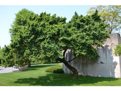 csm DSC 0077 1f9513c962