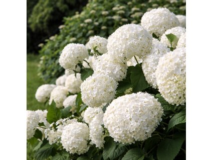 d9ffe5b3 83f1 4d12 8ba9 f7a406852b57