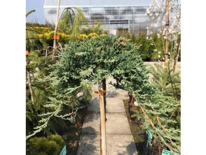 bb9085554092b269cebae1b78ebc