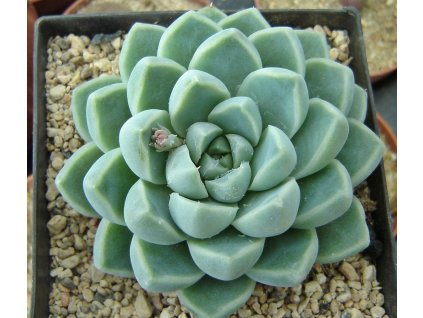 bdbe1bec3883bda0a22d8f53d002f343