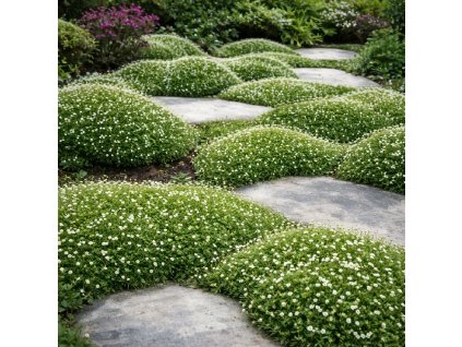 12f76cf3 13e0 4ef2 8bbe abaee31b98cf