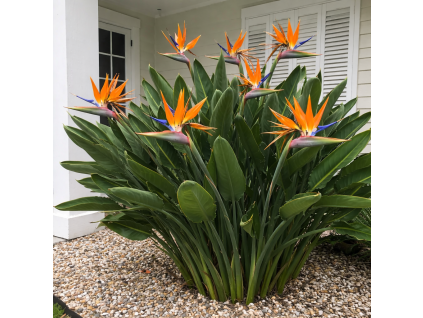 8b7ea282 6831 48cc 9c82 c38b6a3da966