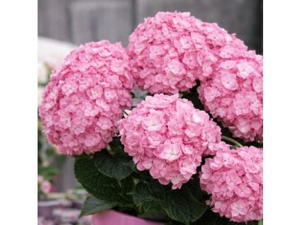 b20befd3 c175 4311 8b47 7a92020fb5df