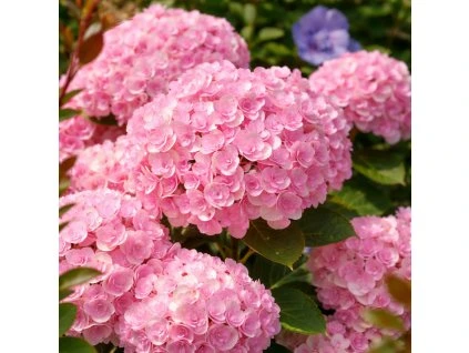 259edbb8 d3f5 4be9 ac02 f2edaf1bd3ae