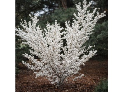 dc53746a a7c1 4eb6 8a68 4a01df0f43a9