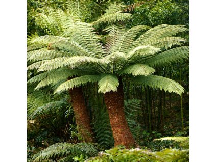 35c51be0 fae6 4487 902d 2e4ae50784c9