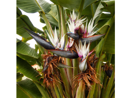 7eb128ac 660f 42be b7e6 15d836bd7274