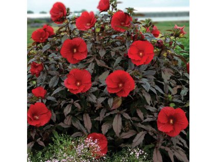 5fbaa40b7e6e9b6b219ea880e0033956