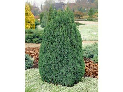 2B4CDBCAEB982CC1BE11E7BC7BF72249 4