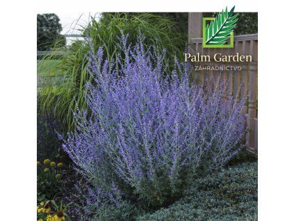 30019441 86a9 4975 b80b 1c4a3173f88a