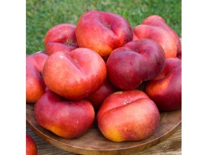 cf09f89745a6aa9af706d8a6e182