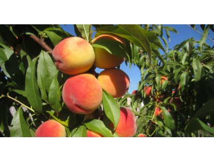 3d716a1c dbc9 4583 9152 4a79e656dd9b dam urlucp0ke