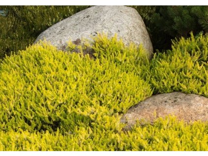 b169332b46e4945899fdd9d68a71