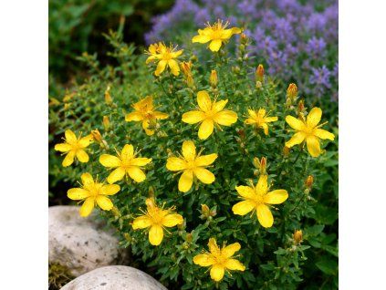 966d6644 0bd8 4427 a1c1 ab872f658abe