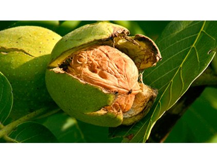 066c9da39ca1fc0fb5999a963537123b13a49c8988f987cb 840