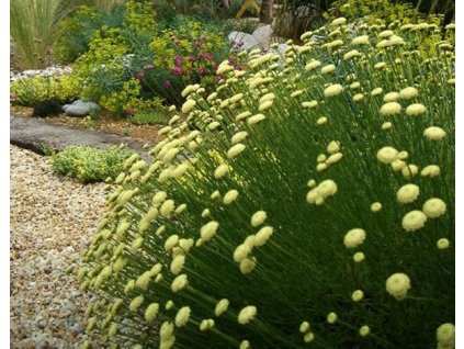 b74ff50cee8876ff2fd9976f44e779e2