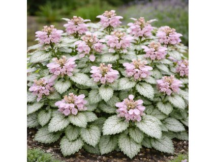 a50a953e d616 405f 91e0 602438d4341a