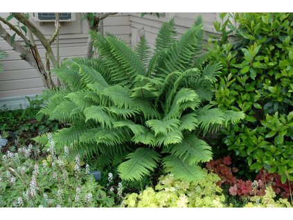 H224 24 6696c844 2f83 484b b5b2 51831ea1c9cb 800x