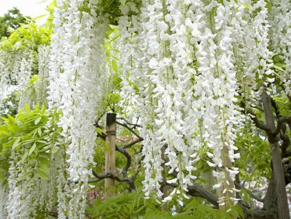 7870e5fc72c91836278c59529e9b67cd57a06b78