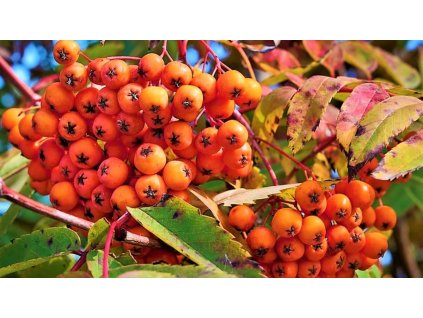 59c350bf4fcaaac83b302b57f1b1652a