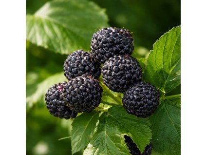 532645d7 53b2 4f71 86aa 18a7bb44c977