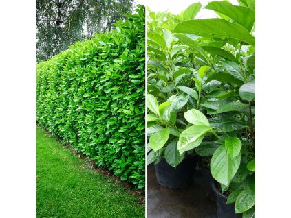 423cb42b ab6b 4af1 a5b9 ed9c1911309f