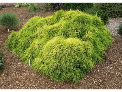 11B6F119 1253 43D4 98D1 ACAEE050A729 1572168733