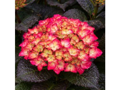 b83eef9a c2a7 4e23 b258 70c87aee0ff8