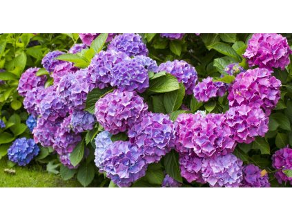 a1564204 3e97 4561 abdf 7cb99de2abb6 ncb8 9 17 60 6