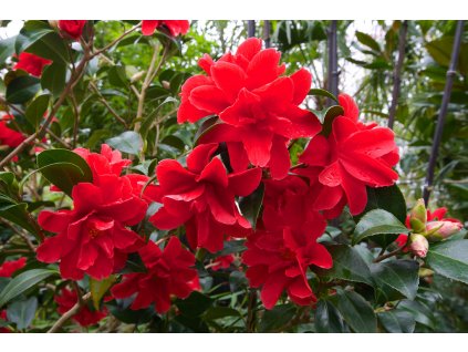 14038341053 0b4cb50731 b