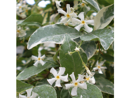 70c6a1ef 1441 4147 a2e1 6906083ff30c