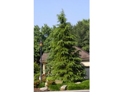 10b9e6a427e0d8e0a46260babcc7f94e