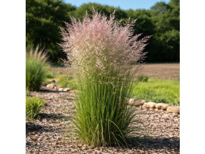 ee8d84fe 9a08 4a5a 9ad9 405878ad8180