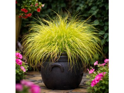 b76b7698 8092 4fcf b4fe 50398adfda90