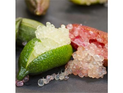 citrus australasica finger lime2