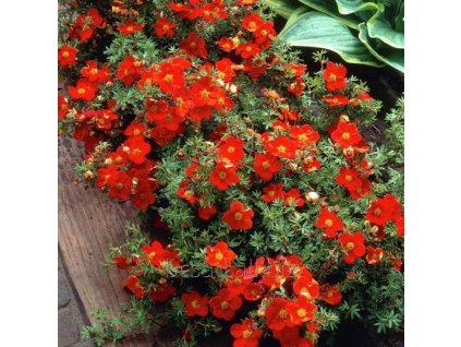 2eb0c1a44cdd088d6d231b135d6d9edb