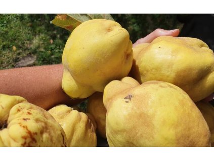 eight col 20210405 112856