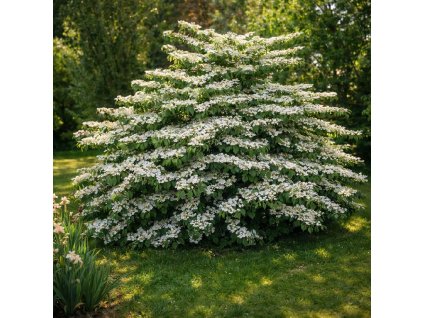 75ab6e2d 06a9 459f aae9 13f4471ff8f7