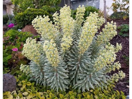 image be4c19d5 cb59 4ca3 b545 6798159f3588 1445x