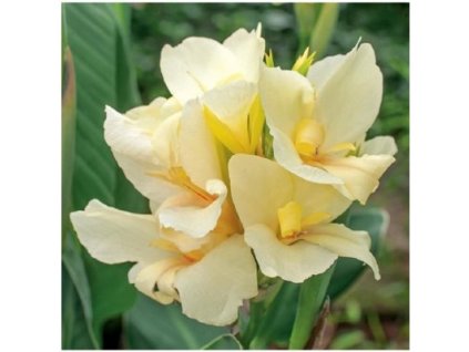 175b19aa3d809a3044f582b57bfbba2c mmf400x400