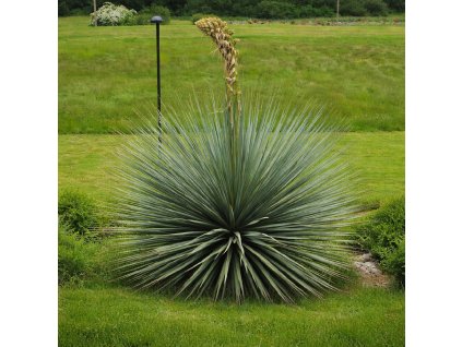 68914644 fad4 4019 b3b4 a2d99f49848d