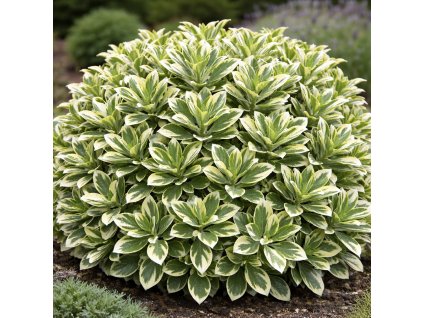 921d2ad8 0514 4667 a907 bfe21942a371