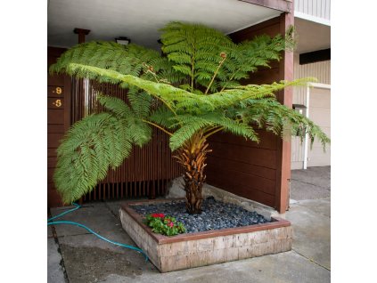 0cde1be4 3e51 4a52 b3c7 87a0b643330e