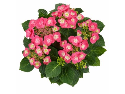 94b5c243 7029 4fee a1c1 19727e626e75