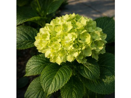 1e7ac290 ee9a 42f2 964f 003662255f66