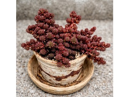 801aaf8d 5144 4133 9c82 bb51a6342dc6